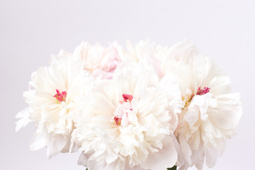 A lush bouquet of pink and white peonies. Natural floral background. Valentines Day and wedding concept