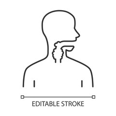 Ill throat linear icon. Angina, tonsillitis. Upper section of alimentary canal. Gastrointestinal tract. Thin line illustration. Contour symbol. Vector isolated outline drawing. Editable stroke