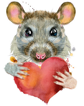 Watercolor portrait of rat with red heart