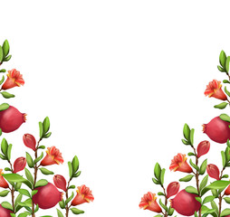 Beautiful Red Pomegranate fruit art illustration 