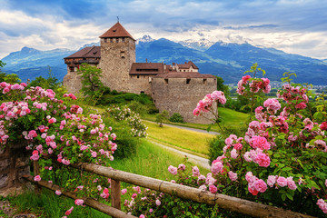 Vaduz castle, Liechtenstein, Alps mountains - obrazy, fototapety, plakaty