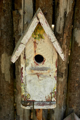 Birdhouses on a wooden fence. Care of birds.