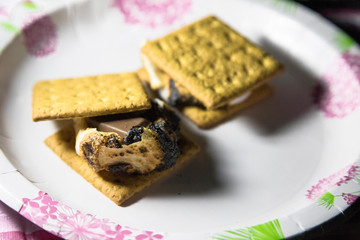 Camping Smores 