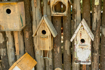 Birdhouses on a wooden fence. Care of birds.