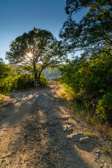 Mendocino country road