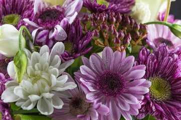 Bouquet of white and purple chrysanthemums. Macro photo flowers.