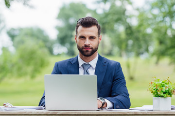 handsome young businessman using laptop, looking at camera and sitting at table with plant in white flowerpot in park