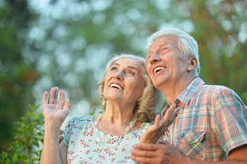 Beautiful senior couple looking at something in the park