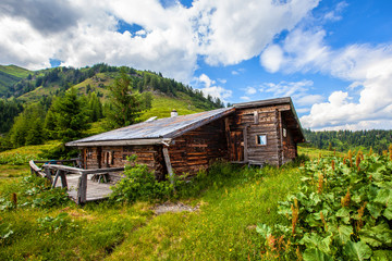 Almen in Rauris Seidlwinkltal Salzburger Land