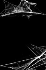 Spiderwebs isolated on black grunge background. Halloween party style, Copy space