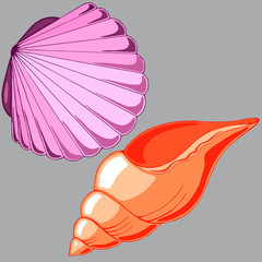 drawing of shells in pastel colors