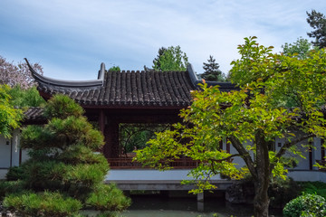 Roof of a Traditional Chinese Building, Surrounded by Vegetation on a Clear, Sunny Day at a Chinese Botanical Garden