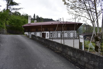 bridge over the river