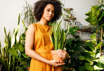 Beautiful plant shop owner. Woman holding a pot with sansevieria. - Powered by Adobe