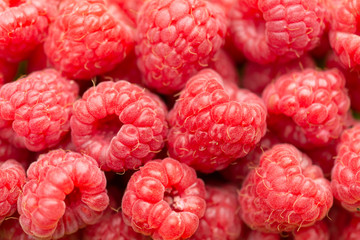 Fresh and sweet raspberries background close up photo