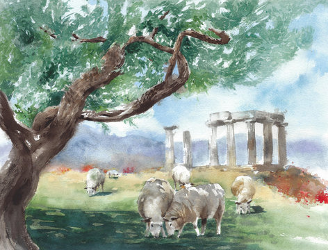 Ancient Greece ruins temple of Apollo Corinth sheep herd olive tree watercolor painting illustration