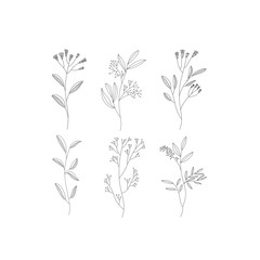 Set of illustrated flowers 