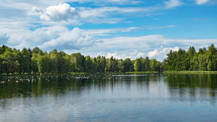 Fototapeta na wymiar Beautiful panoramic landscape with green trees by the water