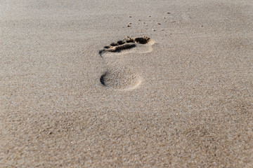 Fototapeta na wymiar barefoot traces in the sand on the beach