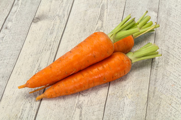 Three Young fresh ripe carrot