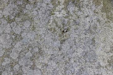 mold stained patchy  grunge wall texture