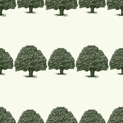 Seamless background of sketches of old oak trees