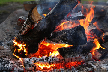 A big fire in the fire pit in the woods