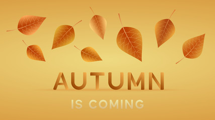 Postcard, poster, banner, flyer with text - autumn is coming. Autumn background. Vector illustration.