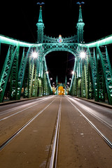 Fototapeta na wymiar Liberty Bridge in Budapest, Hungary.Night vew from center line.