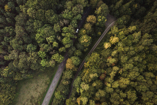 Car from above in forest