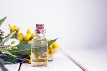 Natural fragrant flower essential oil in a glass bottle with a solid cork on the background of yellow wildflowers. Background about essential oils and natural cosmetics. Organic cosmetics