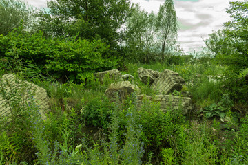 the ruins of an old wall on the outskirts of the forest