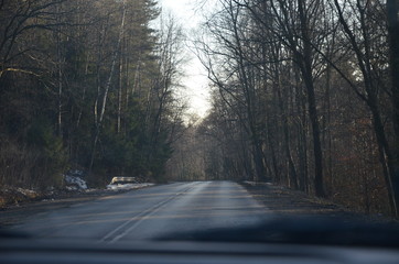 Widok drogi podczas jazdy przez las.