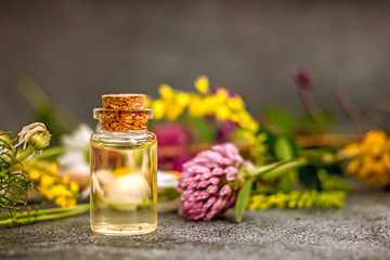 Natural oil in a transparent bottle with a cork stopper. Essential oil from flowers. Skin Care Oil. Bottle with yellow oil in the background of fresh herbs and flowers. Spa concept, organic 