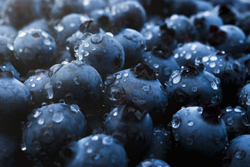 Wet fresh Blueberries in beautiful light