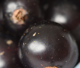 Macro image of black currants