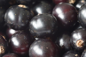 Macro image of black currants
