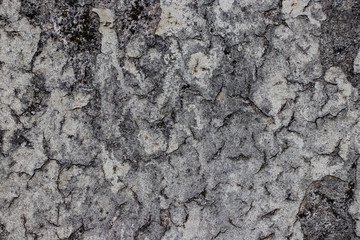 grunge dirty cracked ground texture