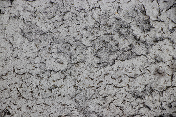 white cracked concrete ground texture