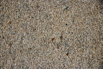 Brown Rough wall grit texture
