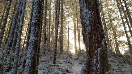 Fototapeta premium Snow Blown Sunrise