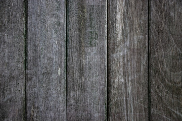 Fototapeta premium rough Wood pannel gate texture shot