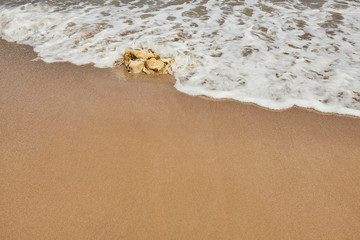 Summertime Background