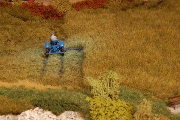 auf der Wiese