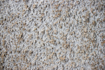 White Stone grit pebble wall texture