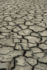 Suolo secco Camargue mare