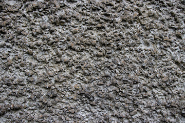 Stone grit pebble wall texture