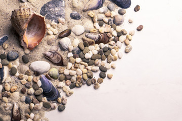 Sea shells and pebbles on light background