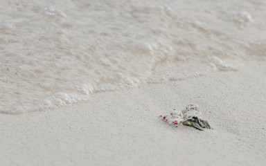 footprints in the sand