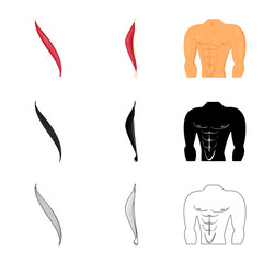 Isolated object of fiber and muscular logo. Set of fiber and body vector icon for stock.